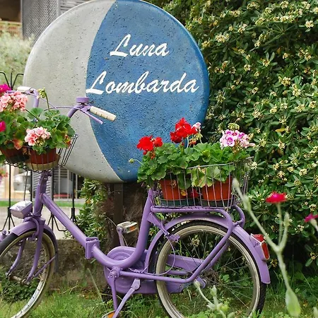 Luna Lombarda سالو
