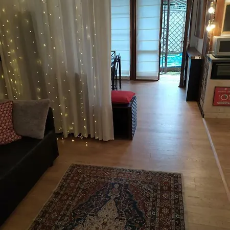 Luna Lombarda * سالو